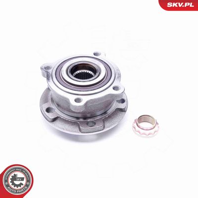 SET RULMENT ROATA ESEN SKV 29SKV176 1