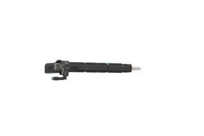 INJECTOR REMANTE 002003002289R 38