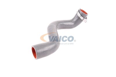 FURTUN EAR SUPRAALIMENTARE VAICO V460823 52