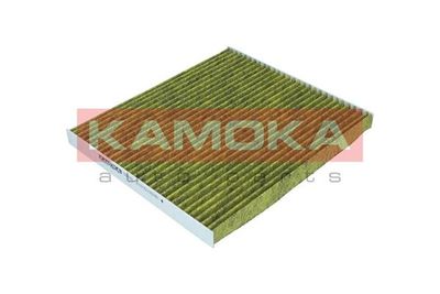 Filter, cabin air 6080086