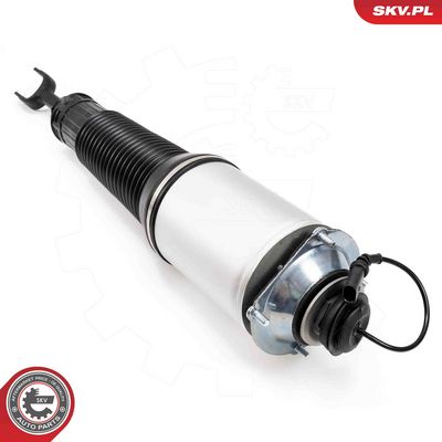 Air Suspension Strut 58SKV700