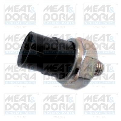 Czujnik spalania stukowego MEAT & DORIA 87987 produkt