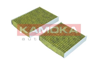 Filter, cabin air 6080040