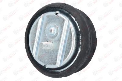 SUPORT MOTOR BIRTH 50124 7