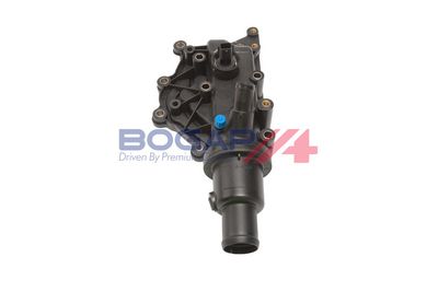 TERMOSTAT LICHID RACIRE BOGAP R4234119 1