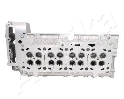 CHIULASA ASHIKA FI11ES 5