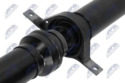 AX CARDANIC ANTRENAREA ARBORELUI NTY NWNLR045 2