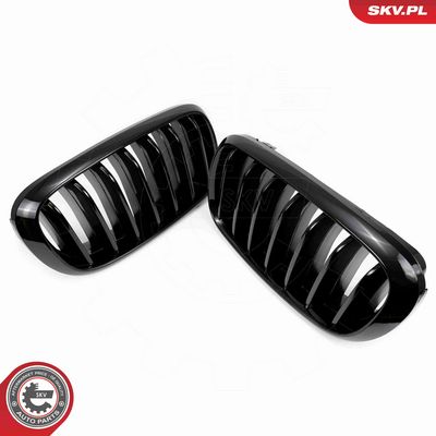 GRILA RADIATOR ESEN SKV 66SKV294 3