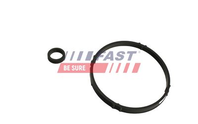 Těsnění, chladič oleje FAST FT48952