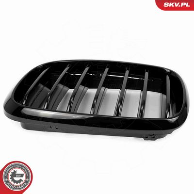 GRILA RADIATOR ESEN SKV 66SKV294 9