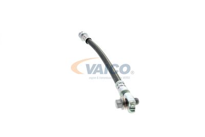 FURTUN FRANA VAICO V101125 36