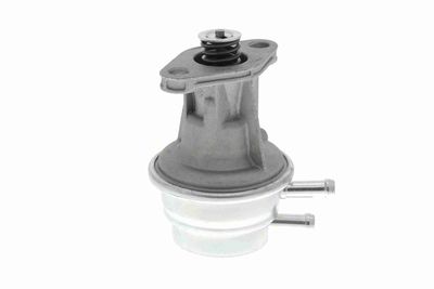 POMPA COMBUSTIBIL VAICO V3004831 8