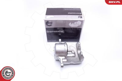 Brake Caliper 42SKV431