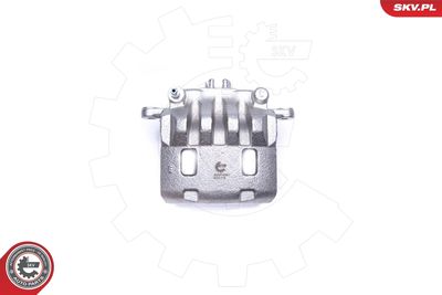 Brake Caliper 42SKV441