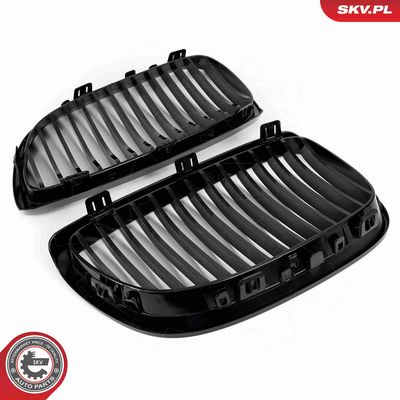 GRILA RADIATOR ESEN SKV 66SKV104 5