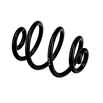 ARC SPIRAL EIBACH R10088 21