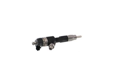 INJECTOR REMANTE 002003001028R 33