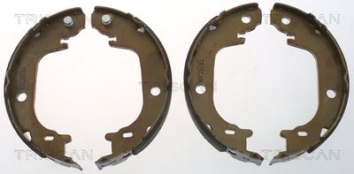 TRISCAN Bremsbackensatz, Feststellbremse