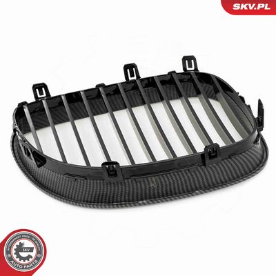 GRILA RADIATOR ESEN SKV 66SKV170 5