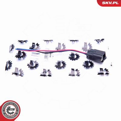 CABLAJ ELECTRIC AJUTOR PARCARE