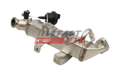 RADIATOR RECIRCULARE GAZE DE ESAPAMENT FAST FT60403 1