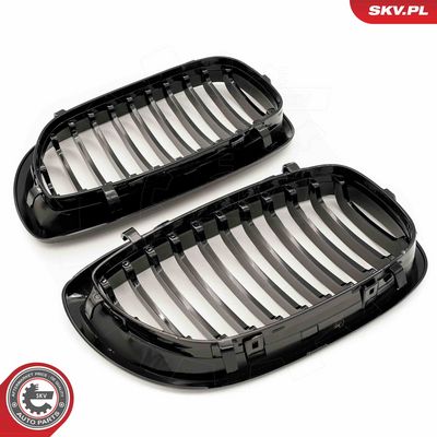 GRILA RADIATOR ESEN SKV 66SKV068 2