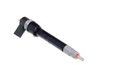 INJECTOR REMANTE 002003001100R 48