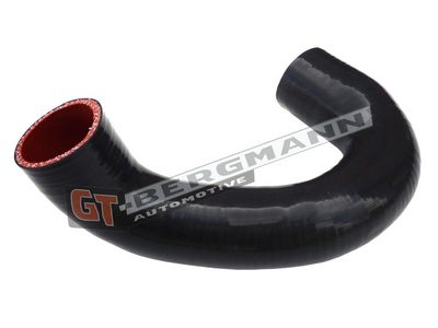 GT-BERGMANN Automotive - Hadica plniaceho vzduchu (hadica turba) VW , GT52-570