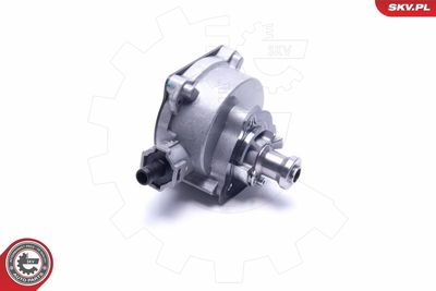Vacuum Pump, braking system 18SKV045