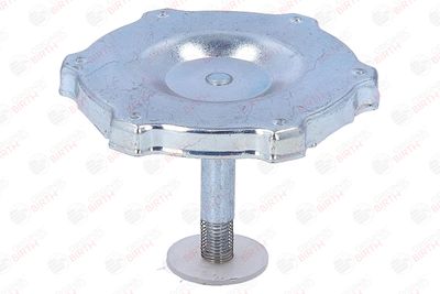 BUSON UMPLERE ULEI BIRTH 8081 11