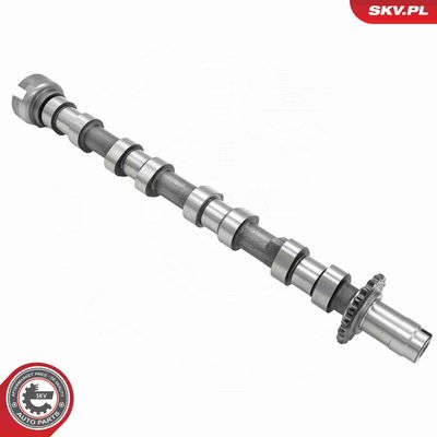 AX CU CAME ESEN SKV 80SKV041 1