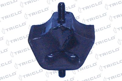 окачване, двигател TRICLO 363901