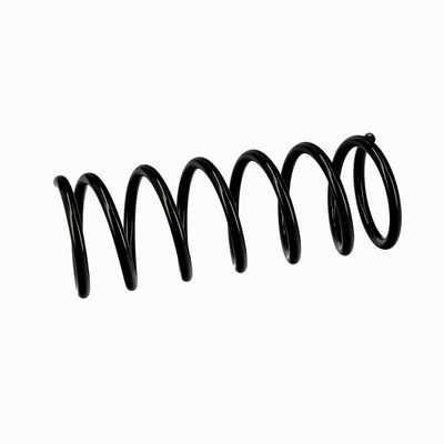 ARC SPIRAL EIBACH R10118 6