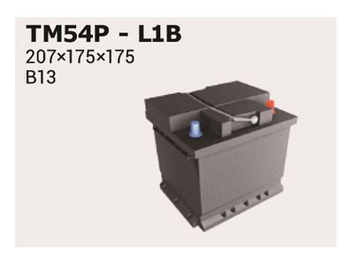 IPSA TM54P Аккумулятор  для FIAT IDEA (Фиат Идеа)