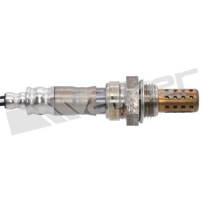 LAMBDASONDE WALKER PRODUCTS 25024130 1