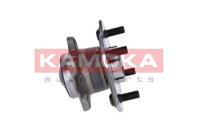 Wheel Bearing Kit 5500073