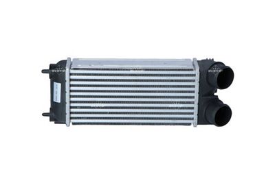 Charge Air Cooler 30191