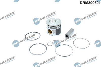 PISTON Dr.Motor Automotive DRM300601
