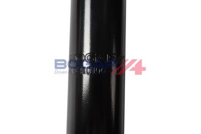 AMORTIZOR BOGAP T3410100 4