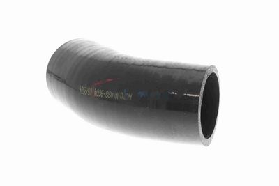 FURTUN EAR SUPRAALIMENTARE ACKOJA A389604 7