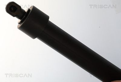 Plynárenská vzpera (pneumatická pružina), zavazadlový priestor TRISCAN 8710 28311