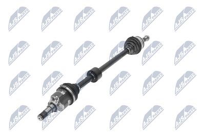 PLANETARA NTY NPWTY250 2