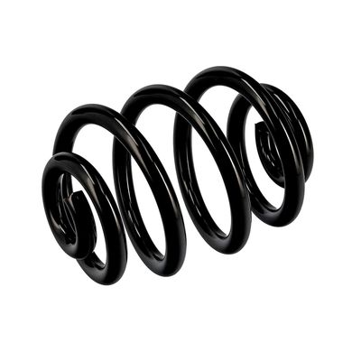 ARC SPIRAL EIBACH R10087 17