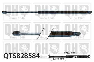 QUINTON HAZELL QTS828584 Амортизатор багажника и капота для VW ARTEON