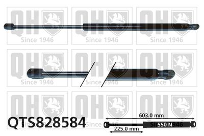 Газовая пружина, крышка багажник QUINTON HAZELL QTS828584 для VW ARTEON