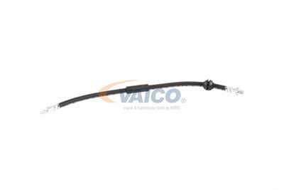 FURTUN FRANA VAICO V201908 58