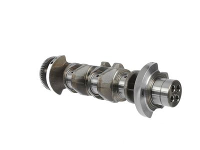ARBORE COTIT ET ENGINETEAM HK0183 22