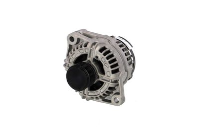 GENERATOR / ALTERNATOR REMANTE 011003000791R 59