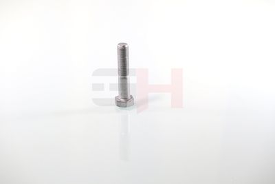 SURUB CAPAT DE AX GH GH392360 8