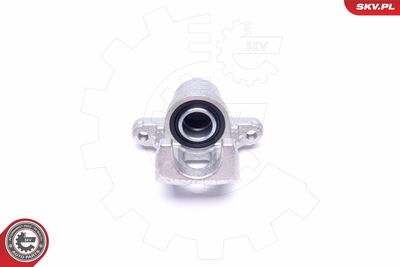 Brake Caliper 45SKV614